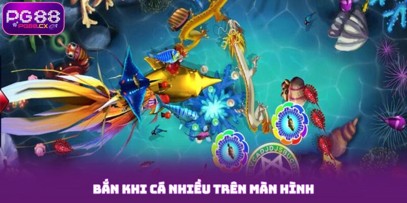 Bắn khi cá nhiều trên màn hình