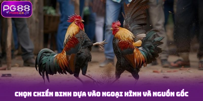 Chọn chiến binh dựa vào ngoại hình và nguồn gốc